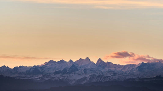 Lenten Blog Week One: Creation, God's Plan